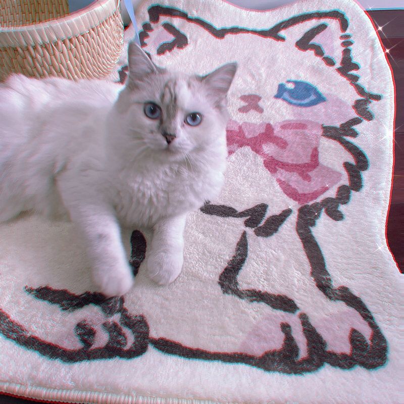 Faux Lambswool Irregular Cute Rug Cute Kitten